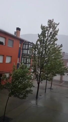 A short video depicts a residential building with an orange facade, several windows, and a chimney. In front of the building, there are several trees with green leaves, some of which appear to be laden with snow or hail. The ground is wet, indicating rain or melted precipitation. The sky is overcast and the overall atmosphere is gloomy. The video appears to be taken from an elevated perspective, possibly a window or balcony.