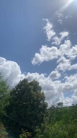A tree is viewed from below against a bright blue sky filled with white clouds. The sun shines from the upper right corner of the frame, creating a lens flare.