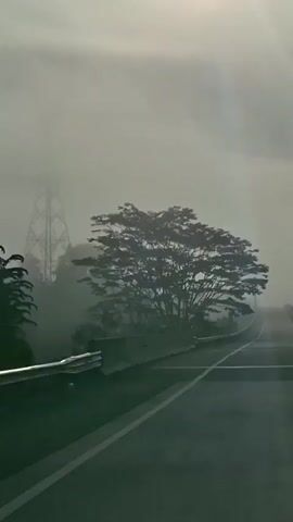 The video shows a silhouetted tree in the foreground against a foggy sky. A large, bright sun is visible in the upper right corner. To the left of the tree, a tall transmission tower is partially visible through the fog. A road with white lane markings curves away into the distance. A concrete barrier runs along the left side of the road. The overall atmosphere is hazy and overcast.