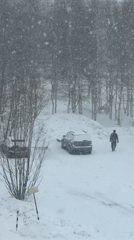 Heavy spring snowfall blankets Surgut, Russia in April