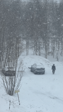 Heavy spring snowfall blankets Surgut, Russia in April