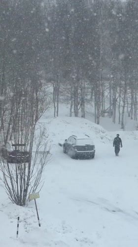 Heavy spring snowfall blankets Surgut, Russia in April