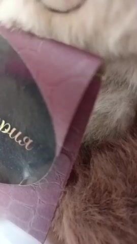 A close-up video focuses on a stuffed otter. The otter has brown fur with lighter beige fur on its face and chest. It has a dark brown nose, black eyes, and white whiskers. A dark burgundy tag with gold lettering is partially visible in the foreground, obscuring part of the otter's face. The tag has a textured, possibly faux-leather, surface. The background is blurred, but appears to be light-colored. The video pans slightly, showing more of the otter's face and the tag.