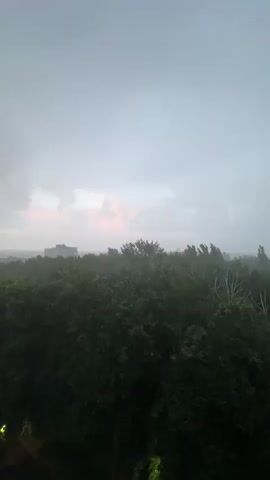 The video shows a wide shot of a densely wooded area under a gray, overcast sky. In the distance, a building with a flat roof is visible, partially obscured by trees. The sky has a subtle pink hue near the horizon, suggesting either dawn or dusk. The trees are a dark green, and some appear to be swaying slightly, indicating a breeze. The overall atmosphere is subdued and somewhat moody, possibly indicative of impending rain or a recent downpour. There are no people or animals visible in the frame. The camera is static, offering a fixed perspective of the landscape.