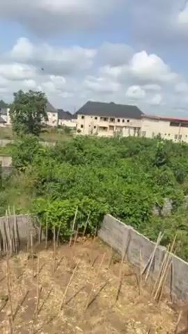 The video shows an outdoor scene in a residential area. There are several buildings with varying architectural styles in the background. The foreground consists of a vegetated area, possibly an overgrown garden or undeveloped land, bordered by a low concrete block wall. There are thin wooden stakes or posts present in the foreground area as well. The sky is partially cloudy, with a bright blue sky visible in patches. The overall impression is of a relatively quiet and possibly suburban or developing neighborhood.