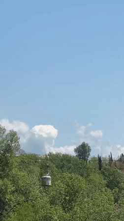 Cable car spotted over green hillside neighborhoods in Sochi