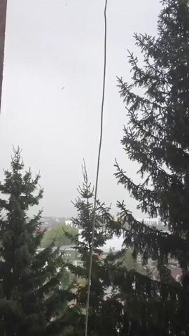 The video begins with a view from a window looking out at a slightly overcast sky, with several evergreen trees in the foreground. A thin, dark wire or cable hangs vertically down the center of the frame. In the background, a town or city can be seen through the trees. As the video progresses, the weather appears to change, with increased fog or mist obscuring the background and making the sky appear brighter and more diffused. The trees remain prominent throughout the clip. No people are visible. The wire continues to hang vertically.