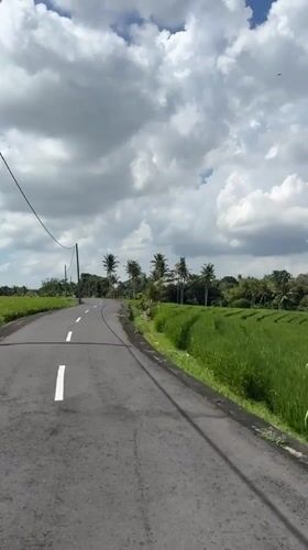 Rural road through rice paddies captured in Selemadeg, Indonesia