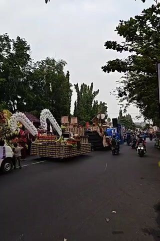 The video captures an outdoor parade or festival scene on a street. Several decorated floats are visible, laden with produce like bananas and sunflowers, as well as ornamental white structures resembling feathers or peacock tails. Some floats appear to be mounted on trucks. People are present, including individuals tending to the floats and others riding motorcycles. The environment includes mature trees lining the street, an overcast sky, and buildings in the background. The overall atmosphere suggests a public event or celebration.