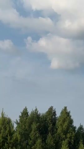 The video captures a clear sky with scattered white clouds above a line of green trees. A bird is seen perched on the top of one tree at the beginning of the clip. It then takes flight and soars across the sky. The camera appears to be handheld, with slight movement as it tracks the bird's flight. The overall scene is natural and serene, with the focus on the bird's movement against the backdrop of the sky and trees.