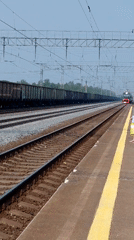 Train arrives at Ubinskoye station, passengers and a bulldog waiting
