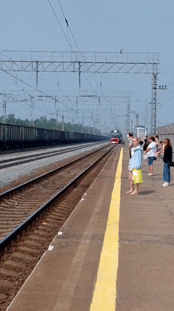 Train arrives at Ubinskoye station, passengers and a bulldog waiting