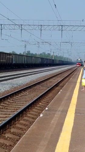 Train arrives at Ubinskoye station, passengers and a bulldog waiting