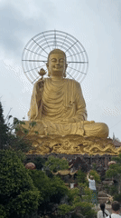 Buddha statues and pigeons captured at Đà Lạt temple