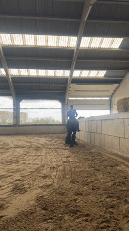 Horse rider practices in indoor arena in Estaimpuis
