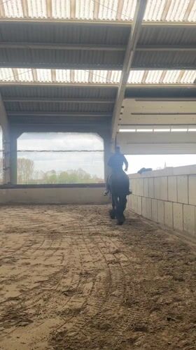 Horse rider practices in indoor arena in Estaimpuis