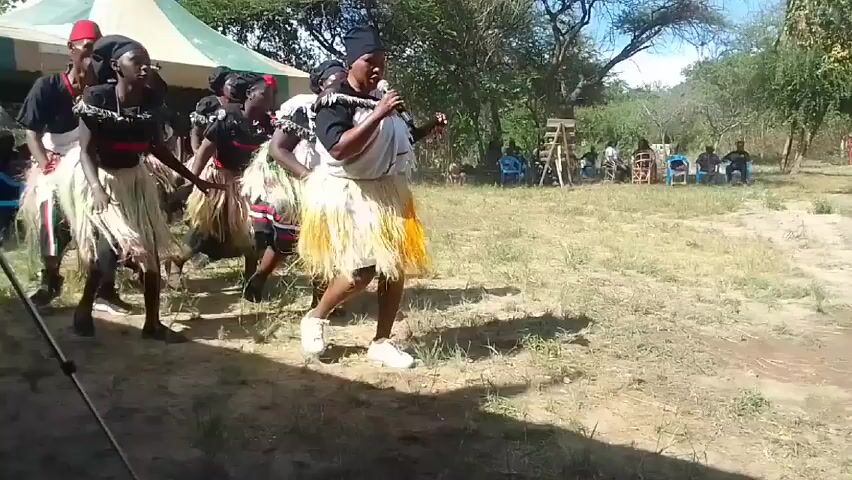 Certainly! Here's a detailed description of the video:

**Scene:** The video features a group of people performing a traditional dance in an outdoor setting. 

**People:**

*   There are approximately 8-9 dancers in the foreground. They appear to be of African descent.
*   They are wearing traditional clothing that includes:
    *   Grass or fiber skirts that vary in color from light beige to yellow and green.
    *   Black and white tops with beadwork.
    *   Headscarves or hats.
    *   One individual wears a red hat.
*   One person, presumably the lead singer, is holding a microphone and singing.
*   In the background, there is a group of people sitting on chairs, likely the audience.

**Objects:**

*   A microphone held by the lead singer.
*   A tent is visible in the background to the left.
*   Simple chairs are placed in the background for the audience.
*   A ladder is visible in the distance.

**Actions:**

*   The dancers are moving in unison, performing traditional dance steps.
*   The lead singer is singing into the microphone.
*   The audience is watching the performance.

**Environment:**

*   The setting is an outdoor grassy area, possibly a field or park.
*   There are trees in the background.
*   The sky is clear and sunny.
* The group appears to be in Africa.

**General Impression:** The video captures a vibrant cultural performance, likely part of a celebration or ceremony. The participants are dressed in traditional attire, and the music and dance appear to be an important part of their cultural heritage.