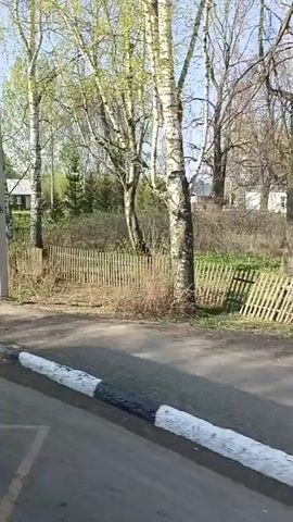 The camera is moving along a road next to a sidewalk with a black-and-white striped curb. On the right, there is a line of birch trees with new green leaves. Beyond the trees, there is a grassy area with a memorial consisting of a central pillar with a statue on top, flanked by horizontal rectangular stones. Wreaths and flowers are placed on the memorial. In the background, there are buildings with gray roofs. The sky is blue and sunny.