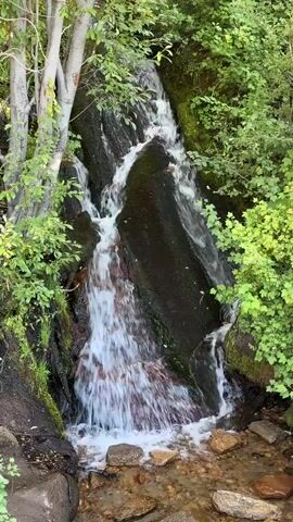 A narrow waterfall cascades down dark, mossy rocks, surrounded by lush green foliage and trees. The water is white and frothy as it tumbles into a shallow stream at the bottom, where small rocks are visible. The scene is natural and serene.