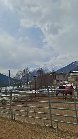 The video shows a horse pen with two horses wearing blankets standing inside. The pen is made of metal bars and the ground is dirt and patches of grass. In the background, there is an old wooden building and several other houses, along with snow-covered mountains under a sky with clouds.