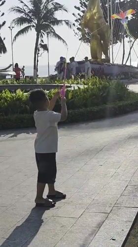 Child flies kite, flower truck procession observed in Nha Trang