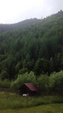 This media file captures a serene, natural landscape with a rustic wooden shelter nestled at the base of a dense, tree-covered mountainside. The shelter, featuring a red roof and open sides, is partially obscured by lush green foliage. A table draped with a white cloth is visible inside the shelter. A wooden fence runs along the edge of a grassy field in the foreground, bordering the shelter. The mountainside is thickly populated with evergreen trees, creating a dark green, textured backdrop that stretches towards a hazy, overcast sky. The overall atmosphere is tranquil and suggests a secluded, natural setting, possibly in a mountainous or forested region. The time of day appears to be overcast, likely late morning or afternoon, with no direct sunlight. The weather seems damp or cloudy, contributing to the subdued lighting. The location cues, combined with the natural scenery and rustic shelter, evoke a sense of peacefulness and immersion in nature. No text is visible in the media file.