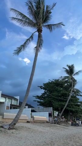 This media file captures a serene beach scene in Baan Thong Po, Thailand, likely during the late afternoon or early evening. The sky is a dramatic display of contrasting weather, with dark, heavy clouds dominating the upper portion, hinting at an approaching storm or recent rain. However, sunlight is breaking through in the distance, creating a beautiful golden glow near the horizon where it meets the calm, shimmering sea.

Dominating the foreground are two tall, slender palm trees, their fronds reaching towards the sky. To the left, a modern building with white walls and sleek lines is partially visible, suggesting a resort or residential area. The sandy beach in front of it is mostly empty, with a few scattered lounge chairs and tables near a small cluster of trees.

Further down the beach, a few people are visible, some walking along the shore, while a small group appears to be gathered around the outdoor seating area. Two fishing boats are anchored in the shallow water, adding a touch of local life to the picturesque landscape. The overall mood is one of peaceful anticipation, perhaps of a coming storm or the end of a beautiful day. The natural beauty of the location, combined with the atmospheric sky, evokes a sense of tranquility and awe. No visible text is present in the media file.