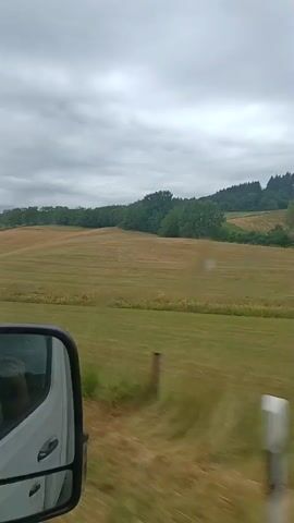 A side view from inside a vehicle shows a vast, rolling landscape of green and golden fields under a cloudy sky. The vehicle's side mirror is visible in the lower left corner, reflecting the cloudy sky and the interior of the car. The fields appear to be recently harvested or mown, with swathes of cut grass or crops visible. In the distance, a line of trees marks the horizon. The overall impression is one of rural scenery and a sense of movement.