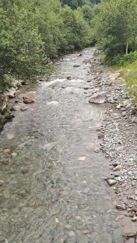 A high-angle shot shows a clear, shallow river flowing through a wooded area. The riverbed is visible and composed of many rocks and pebbles. Lush green trees line both banks of the river. The water appears to be moving quickly, creating ripples and small waves in some areas. The overall impression is one of a natural, serene landscape.