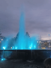 Evening cultural show features performers and illuminated fountain display
