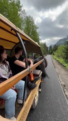 A horse-drawn carriage rides down a road. Two passengers, a woman with glasses and a man in a black shirt, sit in the back. The horse is black, and the carriage has a yellow canopy. The road is paved, and the scenery includes trees, mountains, and a cloudy sky. Other people can be seen in the distance on the road. The man in the carriage has his feet propped up, and there is an orange drink bottle next to him.