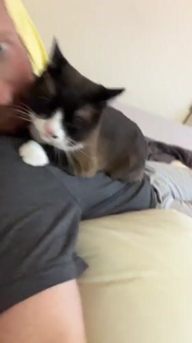 Man and cat share quiet moment on couch in Russia