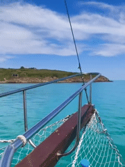 Tourist boat trip and seafood dining in Sozopol marina