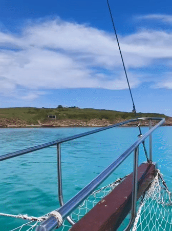 Tourist boat trip and seafood dining in Sozopol marina