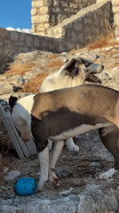 Event