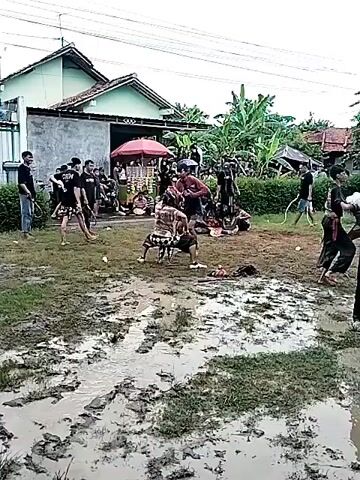 The video captures a traditional Indonesian performance in a muddy field. Several individuals are dressed in traditional attire, including checkered patterns and ornate headpieces. They are moving rhythmically, possibly dancing or enacting a ritual. Surrounding them is a crowd of onlookers. In the background are residential buildings, a red umbrella, and various plants and trees. The ground is wet and muddy, with puddles scattered across the field. Power lines are visible overhead, adding to the urban/rural setting.