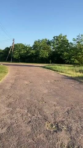 The video shows a first-person perspective of someone walking along a dirt path that transitions to a paved road. The environment is rural, with grassy fields and trees on either side of the path and road. The sky is clear and blue, indicating daytime. In some shots, the sun is visible, casting long shadows. There are no other people or animals visible in the video. The overall impression is one of a peaceful, natural setting.