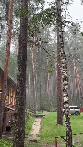 A wooded area with tall pine and birch trees, a wooden building on the left with lights on, a path leading up steps to a grassy area, a silver vehicle parked on the right, and a barbecue grill in the background. The scene appears to be during a rain shower, with mist visible.