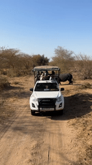 Safari group spots rhinos, zebras in Senegal savanna