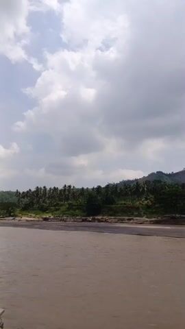A wide shot captures a serene natural landscape under a partly cloudy sky. In the foreground, a calm body of water, likely a river or estuary, dominates the lower half of the frame, its surface reflecting the ambient light with a brownish hue. Beyond the water, a distant shoreline is visible, densely covered with lush green vegetation. Numerous tall palm trees line the bank, suggesting a tropical environment. Behind the treeline, rolling hills or mountains rise, also covered in greenery, receding into the distance. The overall impression is one of natural beauty and tranquility, with no human activity prominently featured. The scene appears to be set during the day, possibly late morning or early afternoon. The location is consistent with Simpangjaya, Indonesia.