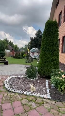 This media file showcases a tranquil backyard scene in Veliaminovo, Russia. The setting is a well-maintained garden with a paved patio in the foreground. A heart-shaped flower bed, filled with gravel and decorated with stones, contains a small, light-colored statue of an animal, possibly a dog. Adjacent to this bed, a modern swing chair with a black frame and a large, clear bubble-like enclosure hangs, with another large bubble floating nearby. A tall, conical evergreen tree dominates the right side of the frame, while a wooden bench sits on a circular paved area in the background. Beyond the manicured lawn, a greenhouse and more trees create a sense of depth. The sky above is filled with dramatic, grey clouds, suggesting a potentially overcast or changeable day. Several small, translucent bubbles are scattered across the patio and in the air, adding a playful element to the scene. The overall impression is one of peacefulness and domestic serenity, with no people visible. The time of day appears to be daylight, given the ambient light. There is no visible text in the media file.