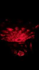 Glowing mushroom display documented in Chaikovsky, Russia