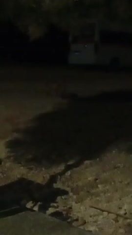The video shows a dark outdoor scene at night. In the foreground, there is a shadowed area with what appears to be some debris or vegetation on the ground. Further back, two small points of light are visible in the darkness, reflecting light. Beyond that, a white bus is parked, with its lights on. The overall environment appears to be a rural or unlit area.