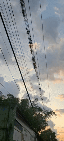 Evening street scenes documented in Tinaquillo, Venezuela