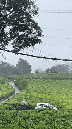 Morning routine documented in Chithirapuram tea plantation region