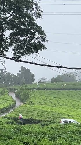 Morning routine documented in Chithirapuram tea plantation region