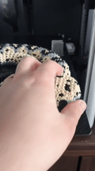 Person documents 3D-printed snake toy in Russian village