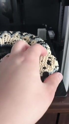 Person documents 3D-printed snake toy in Russian village