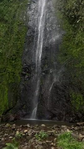 A vertical video shows a tall, narrow waterfall cascading down a dark, rocky cliff face covered in lush green moss and vegetation. The water is a thin, white stream, broken in places, and disperses into mist near the bottom. The surrounding cliffs are steep and wet, with dense foliage on either side. At the base of the waterfall, a shallow pool of water is visible, surrounded by rocks and some green plants. The sky above appears overcast or hazy. The video is static with no visible people or animals.