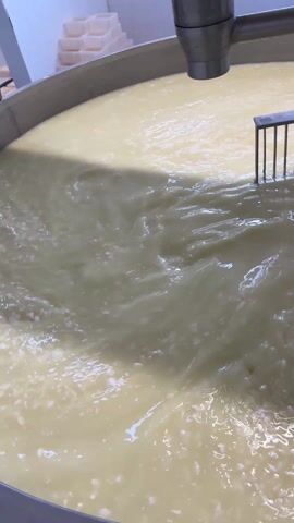 The video shows a large, round, stainless steel vat filled with a light-colored liquid with curdling solids. A mechanical arm with a metal rake-like attachment is moving through the liquid, agitating it. The mechanical arm is also made of stainless steel. The vat is placed in what appears to be a commercial kitchen setting. The surrounding walls are tiled. A control panel with switches and a digital display is mounted on the wall near the vat.  The overall scene suggests the process of making cheese or a similar dairy product.